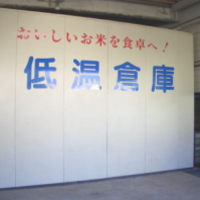 ቷplq